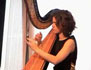 Nuiko Wadden, Harp